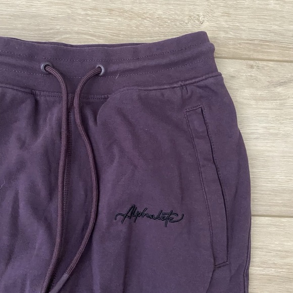 Alphalete Joggers Women's Size Small Purple Drawstring Athletic Sweats Pants - Picture 3 of 6
